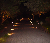 Beaumont Wedding- 2